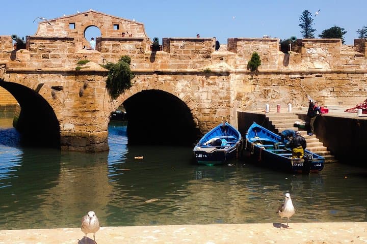 Essaouira Daytrip from Marrakech — Mogador's Wind, Art and Argan Goats