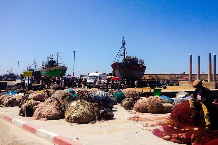 Essaouira Daytrip from Marrakech — Mogador's Wind, Art and Argan Goats photo 5