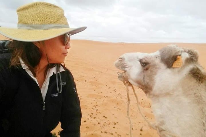 Overnight Sahara Desert Trip from Fez — Camel Ride & Erg Chebbi Camp photo 4