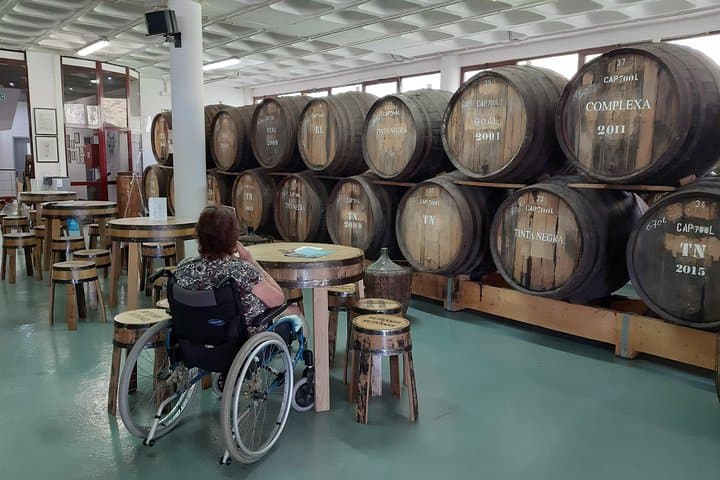 Madeira Accessible Private Tour: Wheelchair-Friendly Wine Tasting & Museums from Funchal photo 4