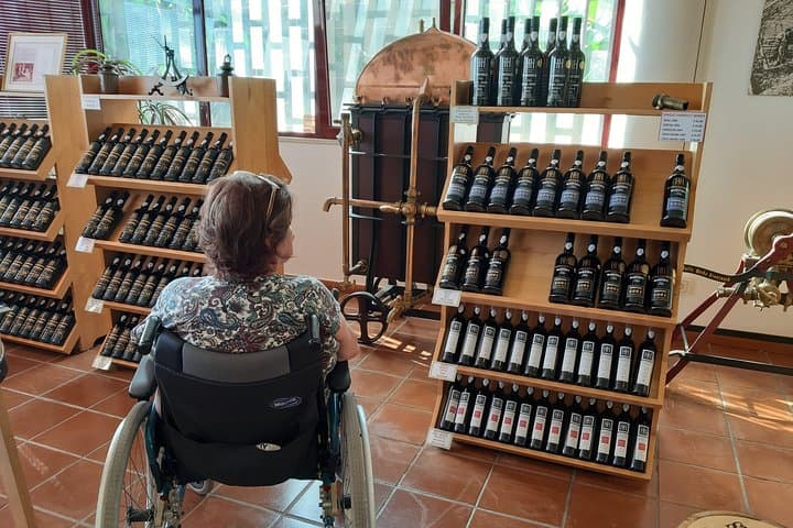 Madeira Accessible Private Tour: Wheelchair-Friendly Wine Tasting & Museums from Funchal photo 5