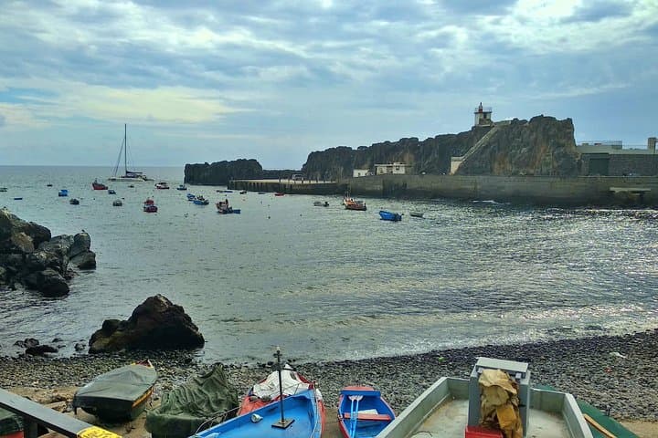 Madeira Accessible Private Tour: Wheelchair-Friendly Wine Tasting & Museums from Funchal photo 6