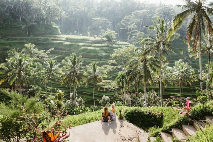 Ubud Private Day Tour: Temple, Waterfall & Coffee Plantation photo 3