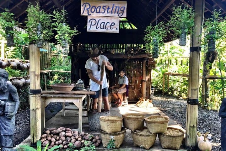 Ubud Private Day Tour: Temple, Waterfall & Coffee Plantation photo 6