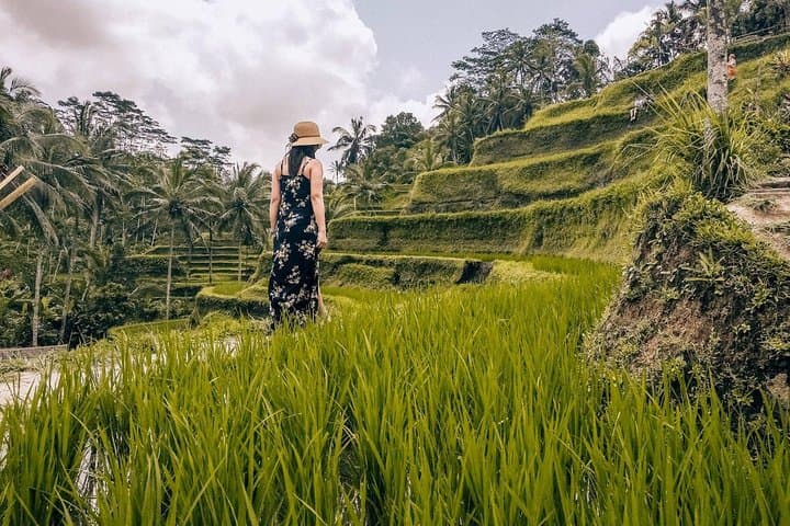 Ubud Private Day Tour: Temple, Waterfall & Coffee Plantation photo 4