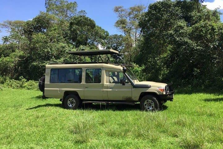 4-Day Northern Tanzania Safari: Tarangire, Serengeti & Ngorongoro Lodge Tour photo 5