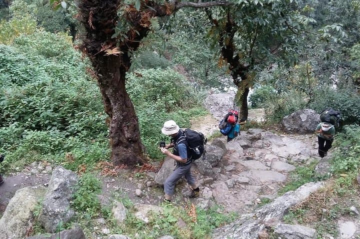 Annapurna Base Camp Trek 5 Days from Pokhara — Itinerary, Tips & What to Expect photo 2