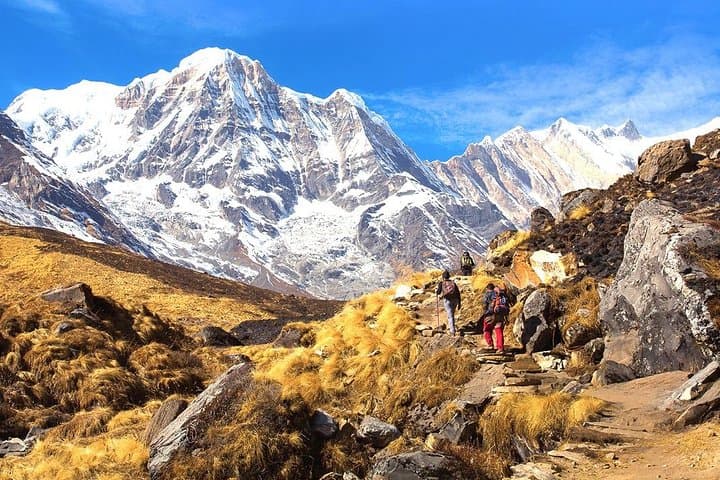 Annapurna Base Camp Trek 5 Days from Pokhara — Itinerary, Tips & What to Expect photo 6