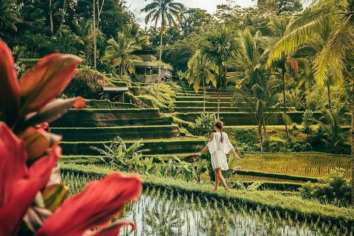 Bali Best Sights: Private Full-Day Ubud, Lempuyang & Rice Terraces Tour photo 3