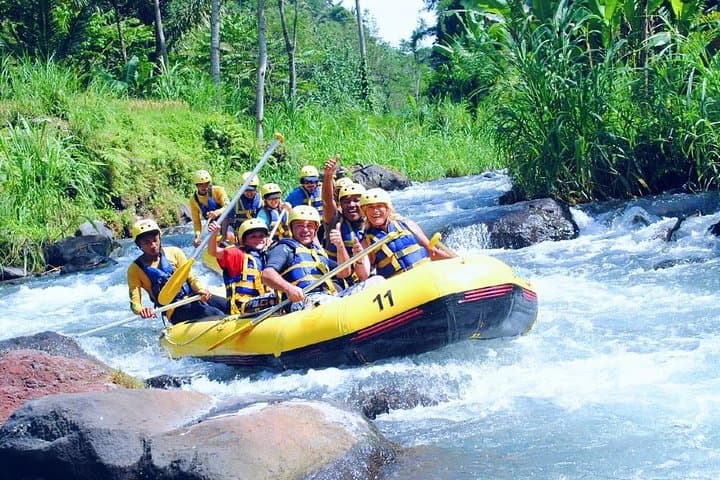 Full-Day Ayung River Rafting and Kintamani Volcano Tour with Tegallalang & Coffee Tasting