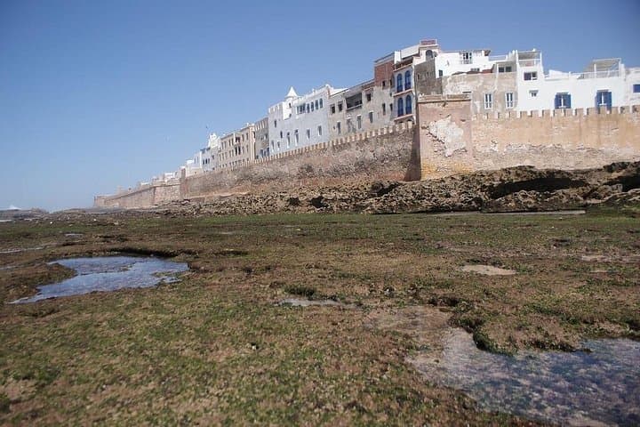 Essaouira Day Trip from Marrakech: Coastal Sights, Argan Goats & Seafood Lunch photo 3