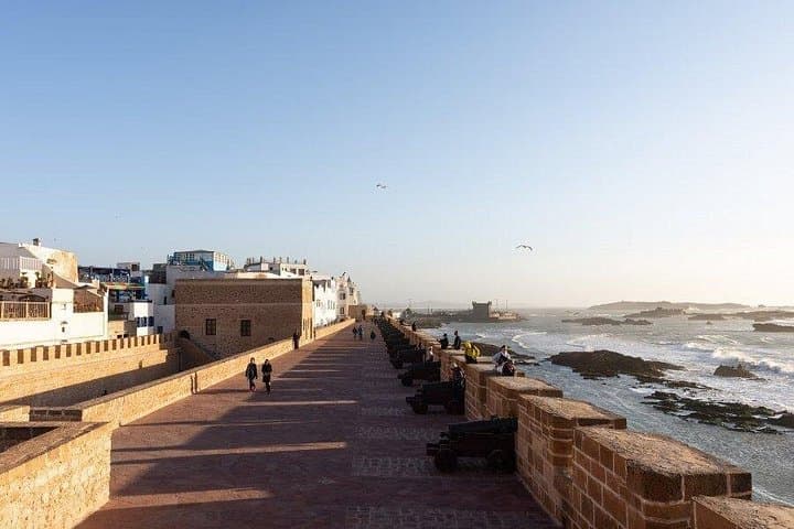 Essaouira Day Trip from Marrakech: Coastal History, Argan Groves & Windy Beaches photo 3