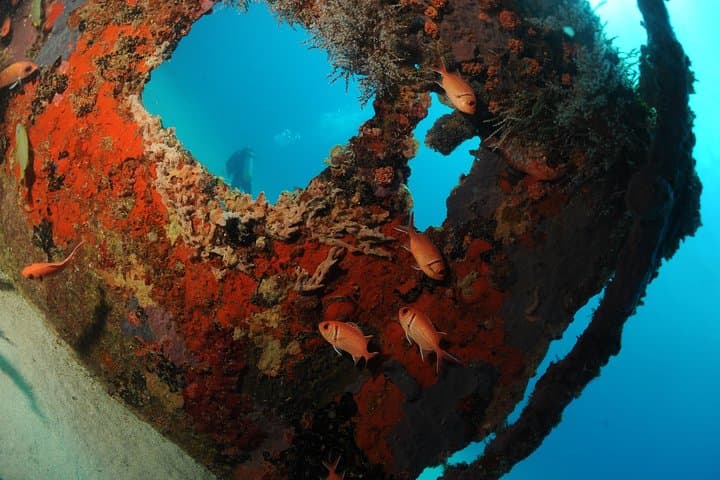 Caribbean Wrecks and Reefs: St Maarten Scuba Diving for Certified Divers photo 3