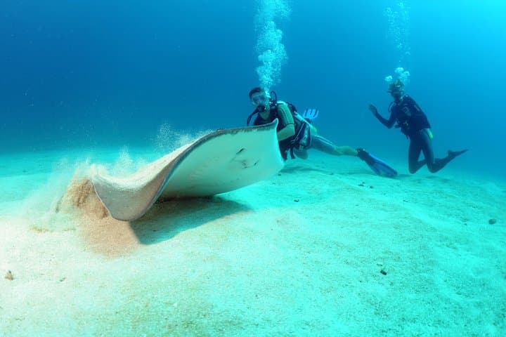 Caribbean Wrecks and Reefs: St Maarten Scuba Diving for Certified Divers photo 5