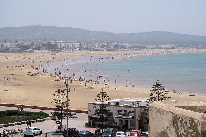 Essaouira Day Trip from Marrakech: Coastal Sights, Argan Goats & Seafood Lunch photo 4