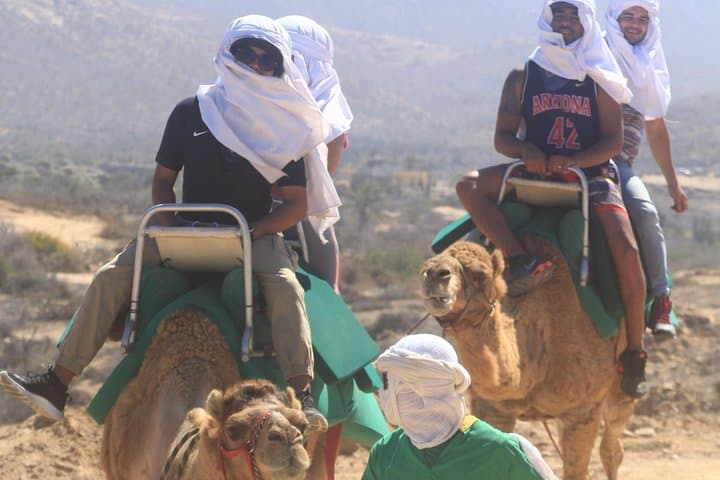 Sunset Camel Ride in Baja: Camel-Back Desert Tour Near San José del Cabo photo 3