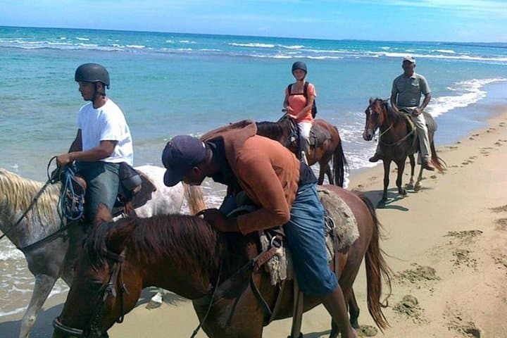 Sunset Beach Horseback Ride in Puerto Plata — Gallop into Caribbean Dusk photo 4