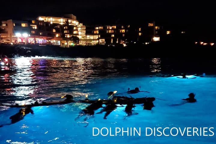 Kona Manta Ray Night Snorkel — Keauhou Bay Night Dive Guide photo 5