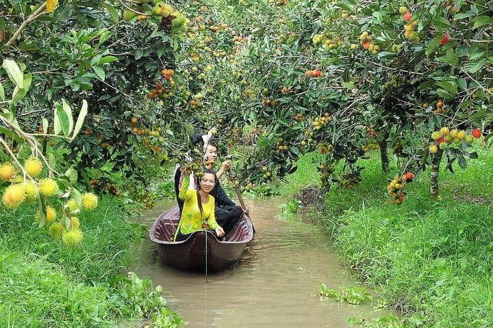 Mekong Delta day trip: My Tho & Ben Tre with BBQ lunch photo 5