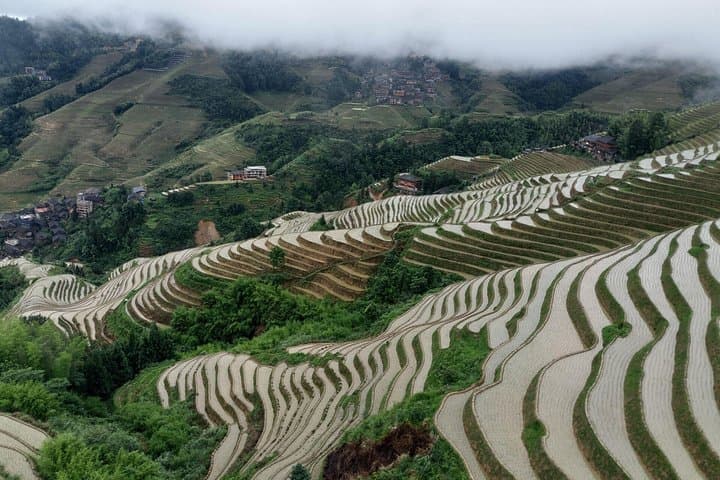 7-Day Private Zhangjiajie to Guilin Tour: Wulingyuan, Tianmen & Longji Rice Terraces photo 6