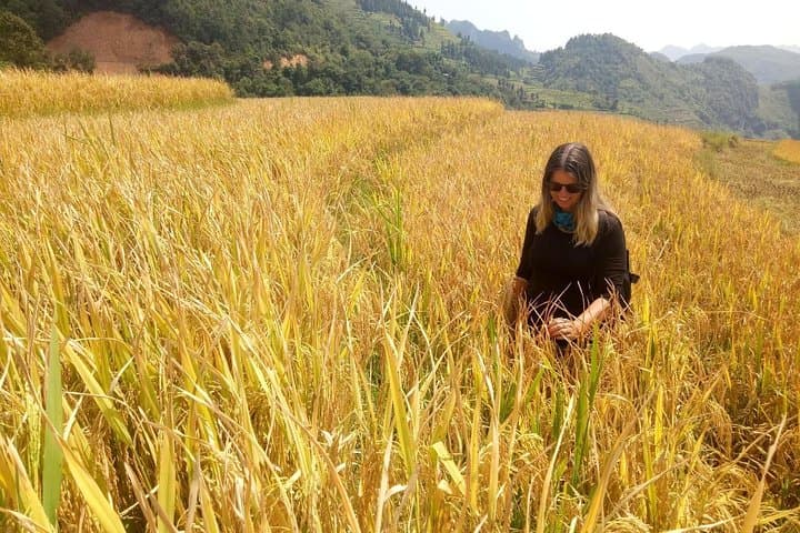 Ha Giang Loop 3-Day Motorbike Tour with Dragon Team — Small-Group Easy Riders photo 3