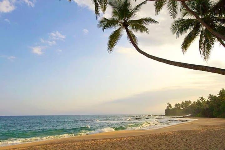 14-Day Sri Lanka Secrets: Hill Country, Safaris & Southern Coast Culture photo 3