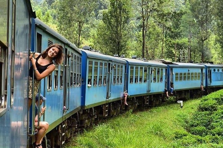 14-Day Sri Lanka Secrets: Hill Country, Safaris & Southern Coast Culture