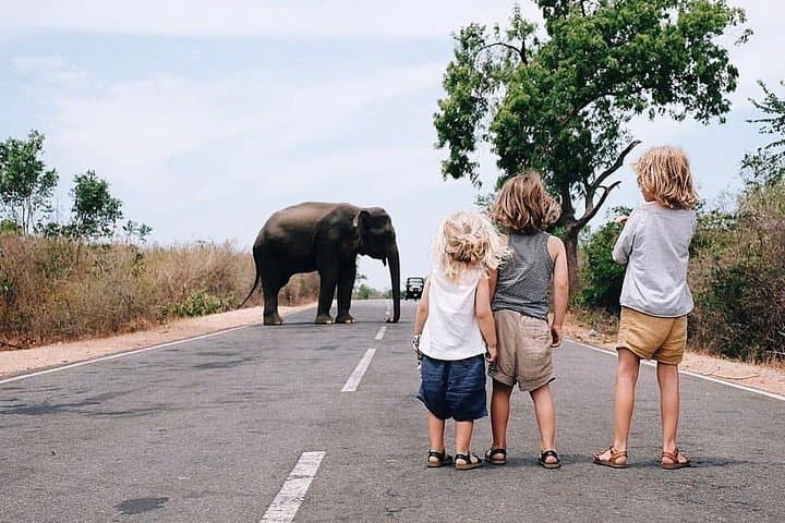 14-Day Sri Lanka Secrets: Hill Country, Safaris & Southern Coast Culture photo 2