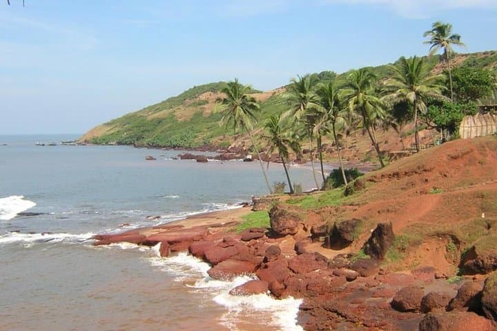 North Goa Beaches, Fort Aguada & Dolphin-Spotting Day Tour