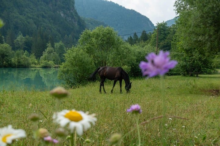 7 Alpine Wonders: Bled to Soča Valley Day Tour in Slovenia photo 2
