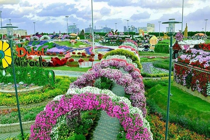 Private Dubai Miracle Garden Tour with Round-Trip Transfers