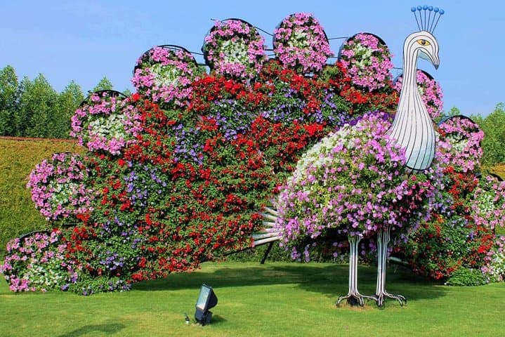 Private Dubai Miracle Garden Tour with Round-Trip Transfers photo 3