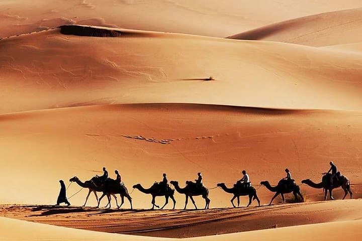Private Morning Desert Safari in Al Khatim — Dune Bashing, Camel Riding & Sandboarding photo 3