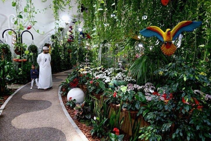 Explore Dubai Miracle Garden & Butterfly Park — Private Tour with Transfers