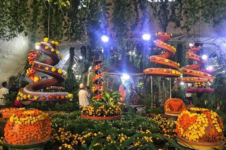 Explore Dubai Miracle Garden & Butterfly Park — Private Tour with Transfers photo 2