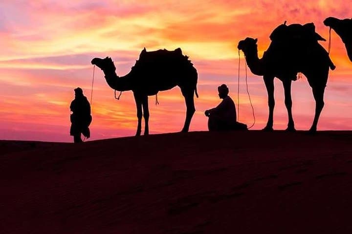 Private Morning Desert Safari in Al Khatim — Dune Bashing, Camel Riding & Sandboarding photo 4
