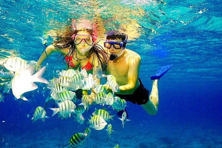 Soar and Sail: Parasailing Adventure From Punta Cana photo 4