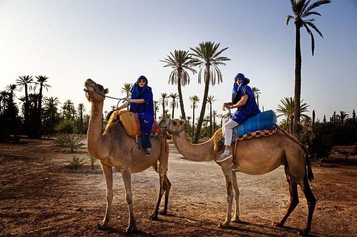 Marrakech Palmeraie ATV Quad Tour — 3–4 Hour Palm Grove Ride photo 5