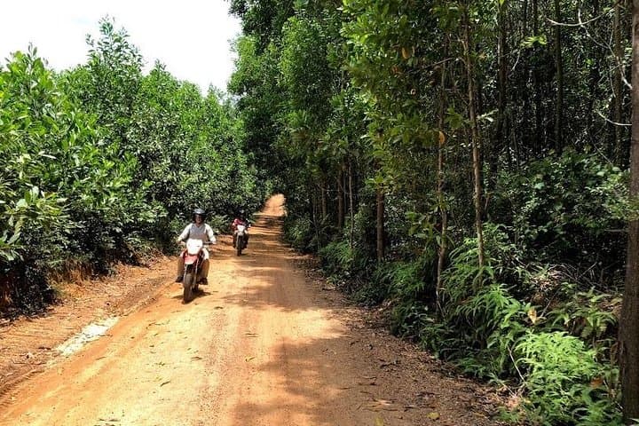 Hai Van Pass Loop from Hoi An — Scenic Coastal Drive, Marble Mountain & Countryside Stops photo 3