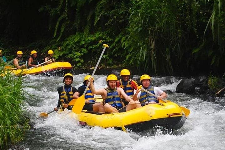 Telagawaja River Rafting and East Bali: Tukad Cepung & Penglipuran Village Tour photo 1