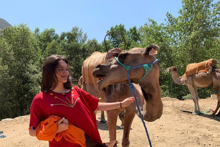 Sunset Camel Ride in Marrakech's Palmeraie: Dromedary Ride & Berber Tea Experience photo 6