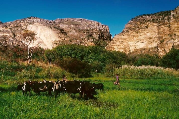 Madagascar Lemur Adventure: Andringitra, Tsaranoro & Ifaty 15-Day Trek photo 3