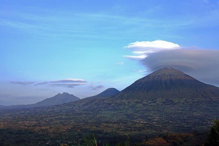 3-Day Gorilla and Golden Monkey Trek in Rwanda’s Volcanoes National Park photo 2