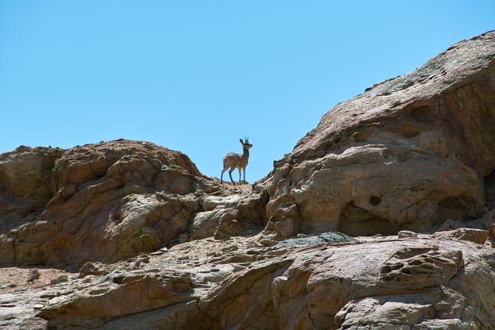Spitzkoppe & Swakop River Valley Full-Day 4x4 from Walvis Bay photo 2