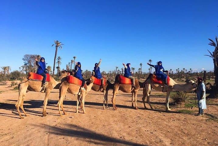 Camel Ride in Marrakech Palmeraie: 90-Minute Camel Tour with Berber Visit