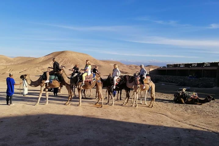 Camel Ride in Marrakech Palmeraie: 90-Minute Camel Tour with Berber Visit photo 2