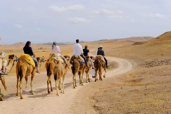 Camel Ride in Marrakech Palmeraie: 90-Minute Camel Tour with Berber Visit photo 3