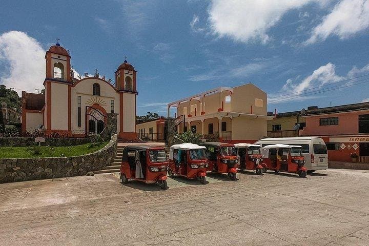 Huatulco Coffee & Commerce Shore Excursion: Pluma Hidalgo, Santa Maria & Santa Cruz photo 6