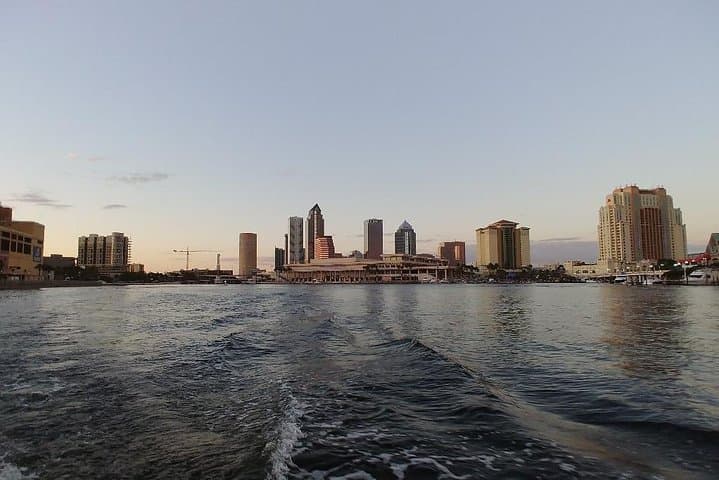 Tampa Celebrity Homes Boat Tour: Davis Islands & Dolphin-Watching Cruise photo 2