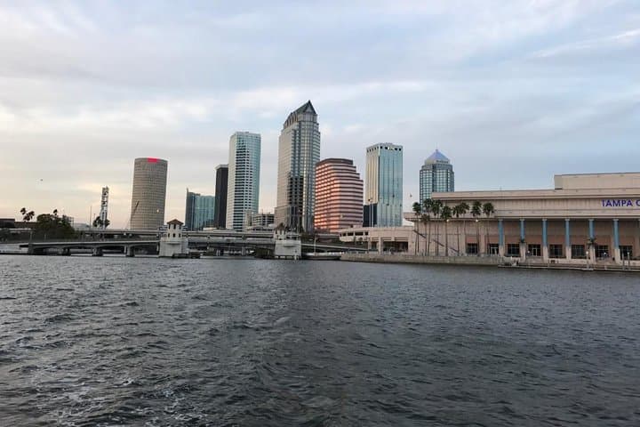 Tampa Celebrity Homes Boat Tour: Davis Islands & Dolphin-Watching Cruise photo 3